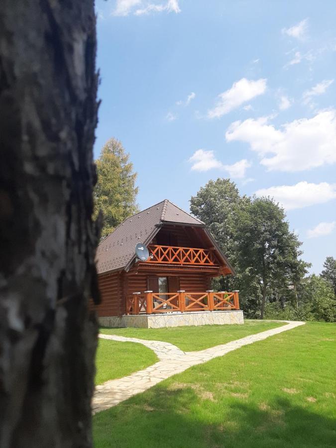 Вілла Brvnare Park Borova Златибор Екстер'єр фото