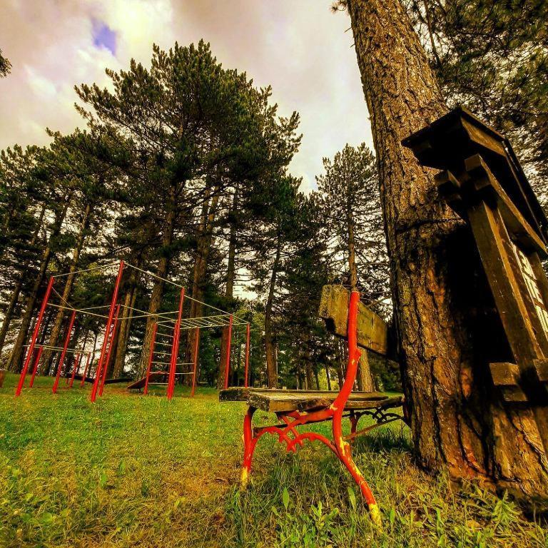 Вілла Brvnare Park Borova Златибор Екстер'єр фото