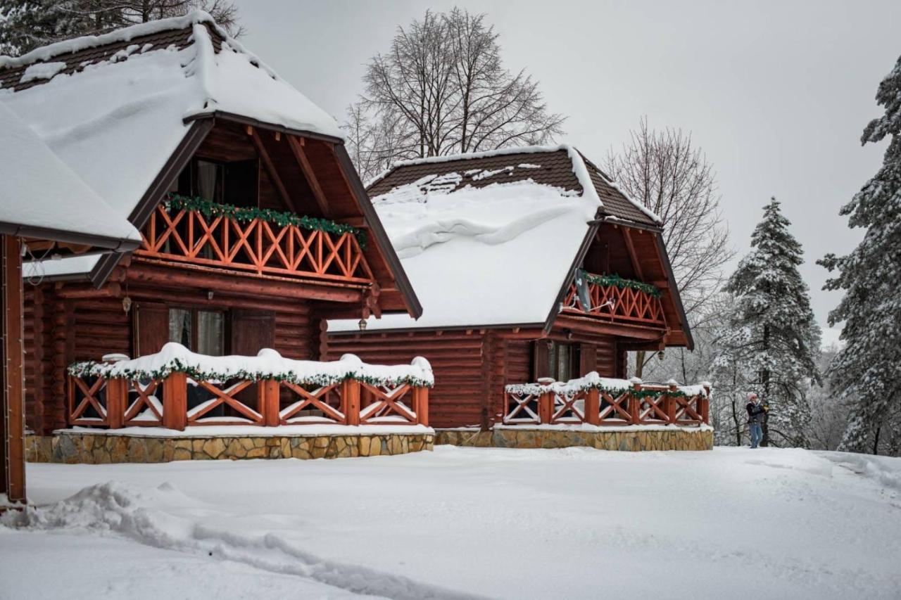 Вілла Brvnare Park Borova Златибор Екстер'єр фото