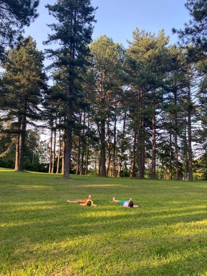Вілла Brvnare Park Borova Златибор Екстер'єр фото